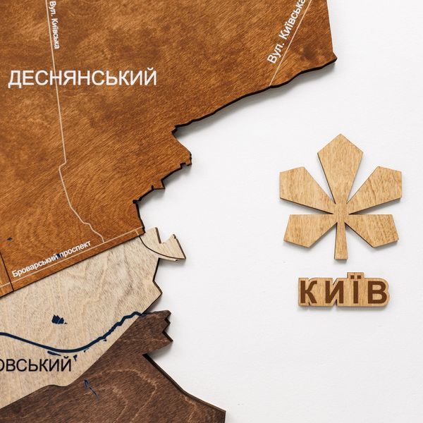 Мультиколор - Багатошарова мапа Києва LOС30M3KYMC00000 фото