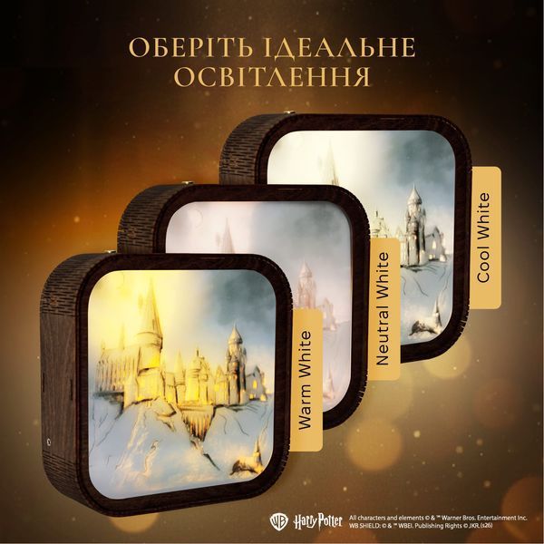 Акриловий Нічник Гаррі Поттер - Гоґвортс Після Відбою WANL003DHAPOHA00 фото