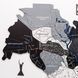 Нордік - Багатошарова мапа Києва LOС30M3KYNO00000 фото 12