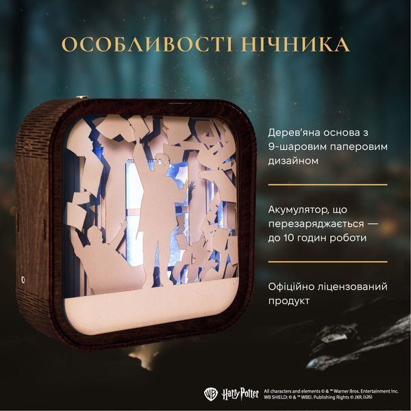 Деревʼяний 3D Нічник Гаррі Поттер - У Недiлю Пошти Немає WPNL003DHAPONP00 фото