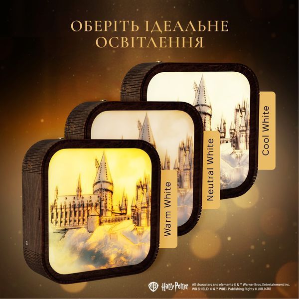Акриловый Ночник Гарри Поттер &ndash; Замок Хогвартс WANL003DHAPOHC00 фото
