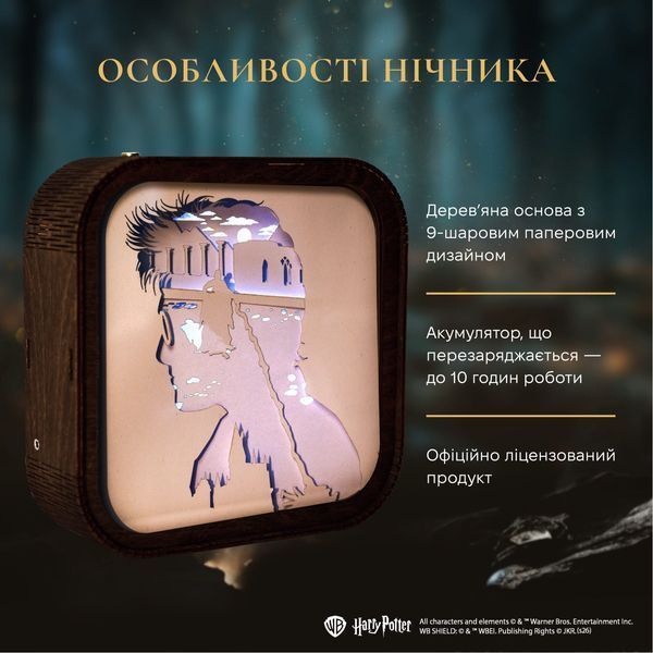 Деревянный 3D Ночник Гарри Поттер - Битва WPNL003DHAPOBT00 фото