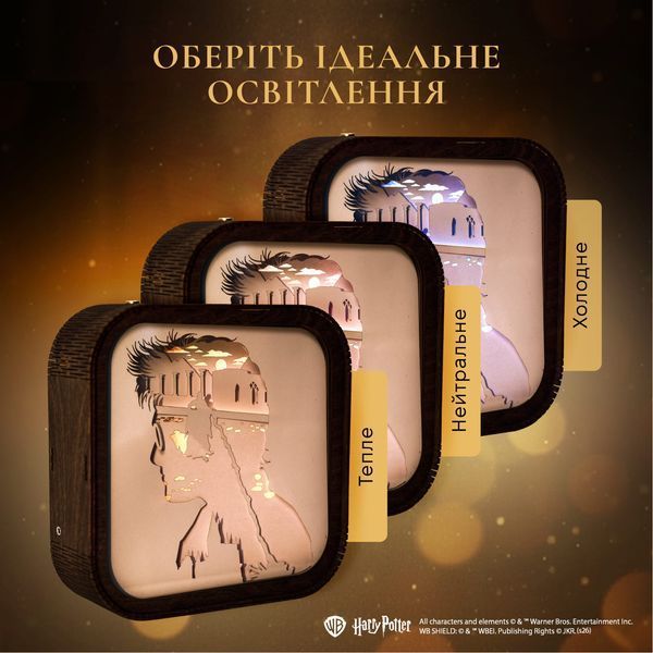 Деревянный 3D Ночник Гарри Поттер - Битва WPNL003DHAPOBT00 фото