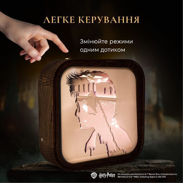 Деревянный 3D Ночник Гарри Поттер - Битва WPNL003DHAPOBT00 фото