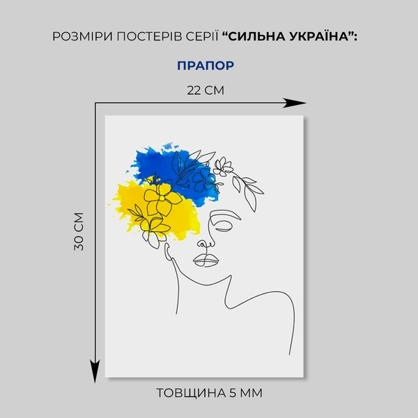 Флаг –  Деревянный постер на стену SUC0000240000000 фото