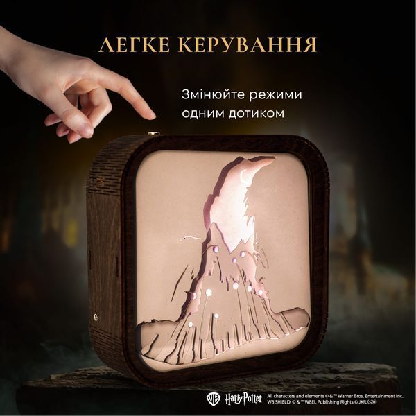 Деревянный 3D Ночник Гарри Поттер - Свет Против Тьмы WPNL003DHAPOLD00 фото Деревянный 3D Ночник Гарри Поттер - Свет Против Тьмы WPNL003DHAPOLD00 фото