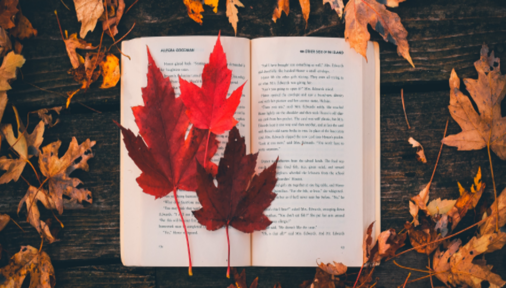 Книжки, які зроблять цю осінь затишною